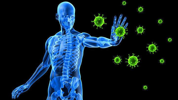 Chiropractic and Your Immunity